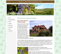 Website design example